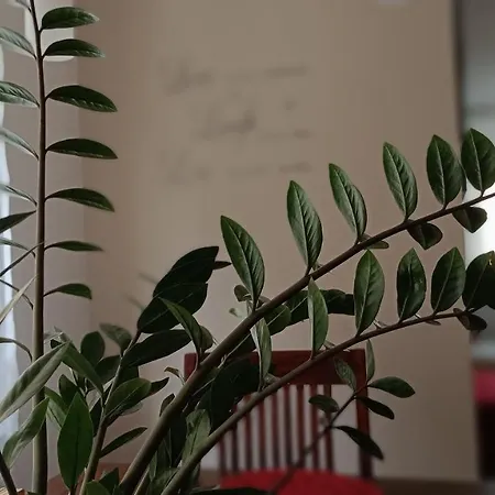 Moderne Und Schoene Apartment *