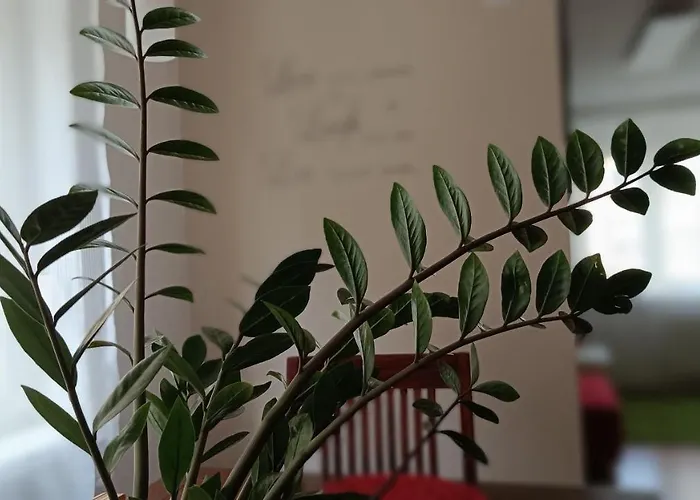 Moderne Und Schoene Appartement *